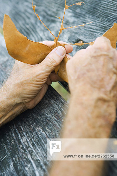 Hände reißendes Blatt  Ausschnitt  Nahaufnahme