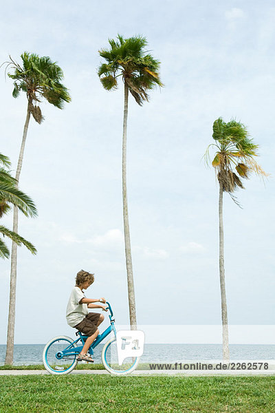 Junge Fahrrad fahren neben Palmen  Seitenansicht