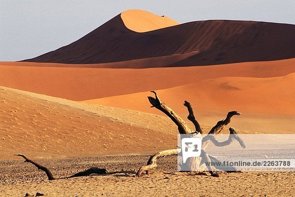 Namibia Namib