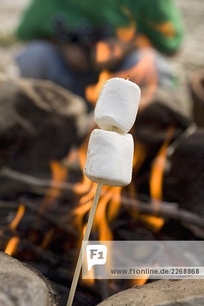 Marshmallows am Spiess vor Lagerfeuer  Mensch im Hintergrund