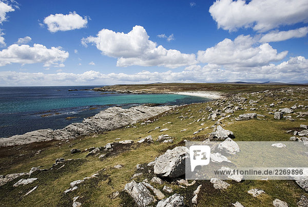 Falklands Islands. Pebble Island. the North East coast  the beach
