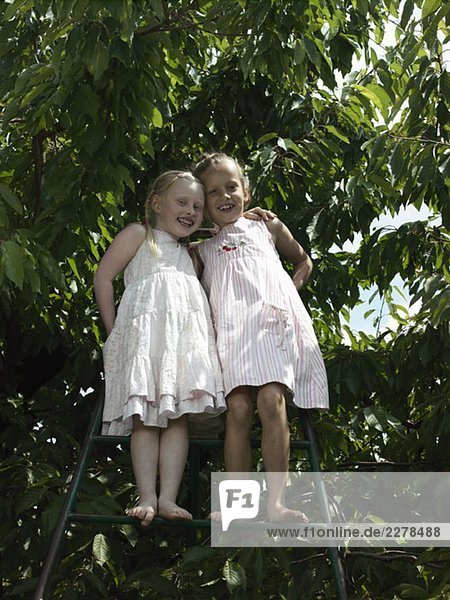 Zwei Mädchen stehen auf einer Leiter unter einem Kirschbaum.