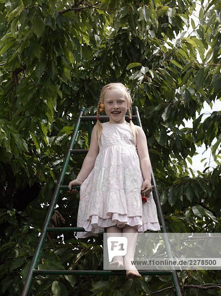 Ein Mädchen steht auf einer Leiter unter einem Kirschbaum.