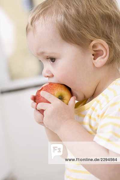 Baby girl (2-3) eating an apple