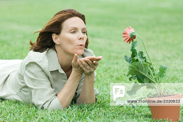 Frau auf Gras liegend  Kuss auf Gerbera Gänseblümchen blasend