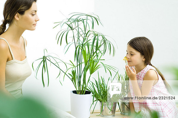 Mädchen riecht Blumenzweig  während Mutter zuschaut