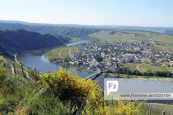 Luftbild von Fluss in Landschaft  Piesport  Moselschleife  Moseltal  Mosel  Rheinland-Pfalz  Deutschland