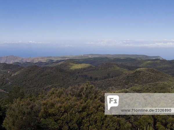 Panoramische Ansicht der Wald auf Bergwelt  Teneriffa  Kanaren  Spanien