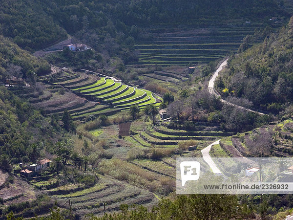 Luftbild der terrassierten landwirtschaftlichen Betriebe  La Gomera  Kanaren  Spanien