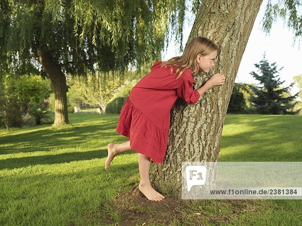 Junges Mädchen versteckt sich hinter einem Baum