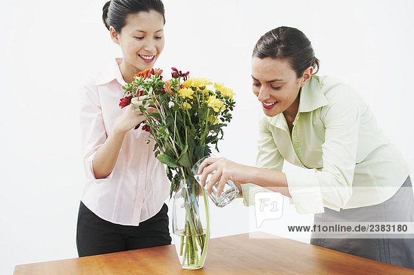 Zwei Frauen  die Blumen gießen