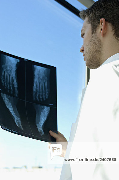 Seitenprofil eines männlichen Arztes bei der Untersuchung eines Röntgenberichtes