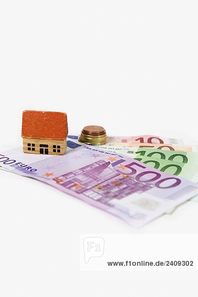 Ein Miniatur-Holzhaus auf den europäischen Banknoten