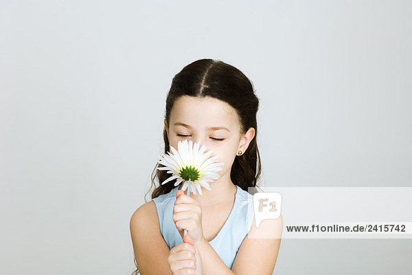 Kleines Mädchen riecht Blume  Vorderansicht