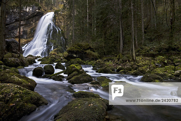 Österreich  Golling  Wasserfall