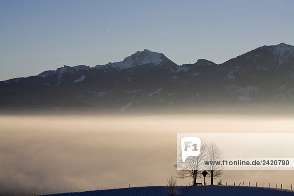 Germany  Bavaria  Murnau  Misty landscape