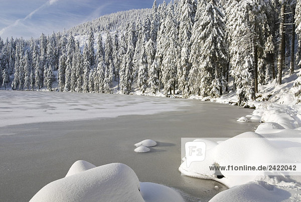 Germany,  Black forest,  Mummelsee,  Winter scenery