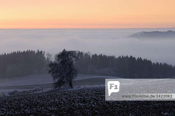 Deutschland  Baden-Württemberg  Deggenhausertal mit Nachleuchten und Nebel