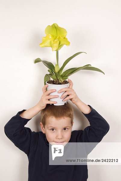 Junge (10-11) hält Blume über Kopf  Portrait