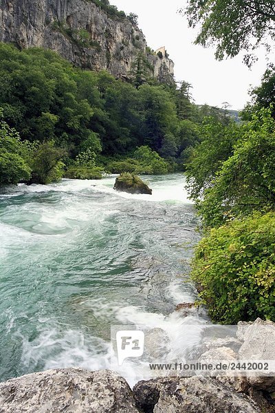 Fluss der durch Wald Fontaine de Vaucluse Provence-Alpes-Côte d ' Azur Frankreich