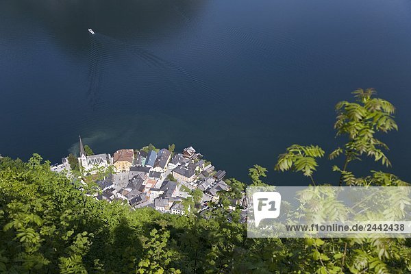 Gebäude Ufer Ansicht Luftbild Fernsehantenne Österreich Salzkammergut