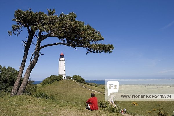 Man sitting in meadow with lighthouse in background  Dornbusch  Hiddensee Island  Mecklenburg-West Pomerania  Germany