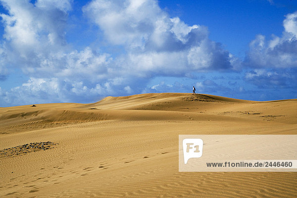 Spain  Canary Islands  Grand Canary  Maspalomas  sand dunes