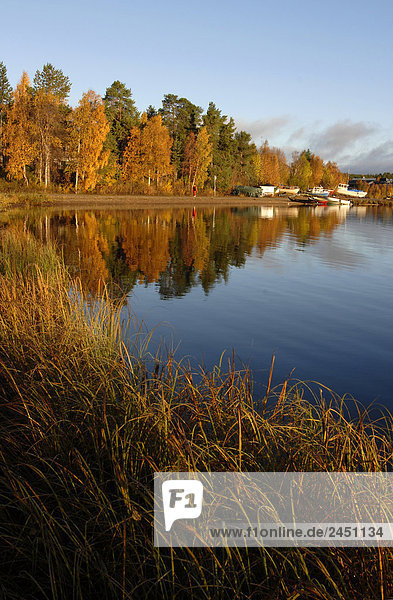 Finnland  Lappland  Inari  See im Herbst