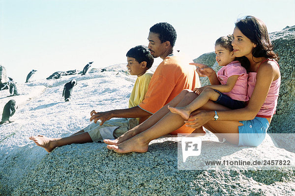 Family sitting on rocks  looking at penguins