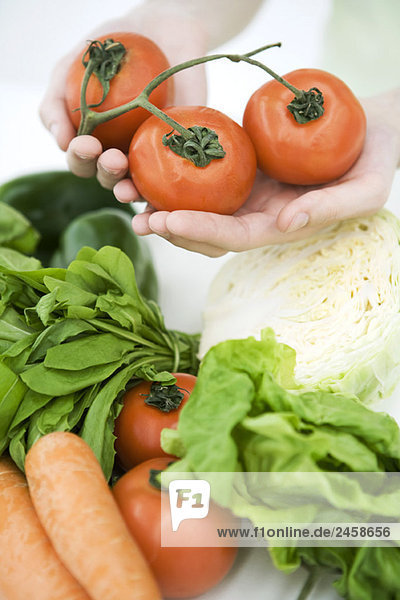 Hände halten Strauchtomaten  frisches Gemüse sortiert im Vordergrund