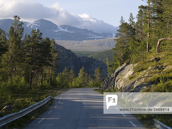 Straße durch Berge  Rondane-Nationalpark  Norwegen