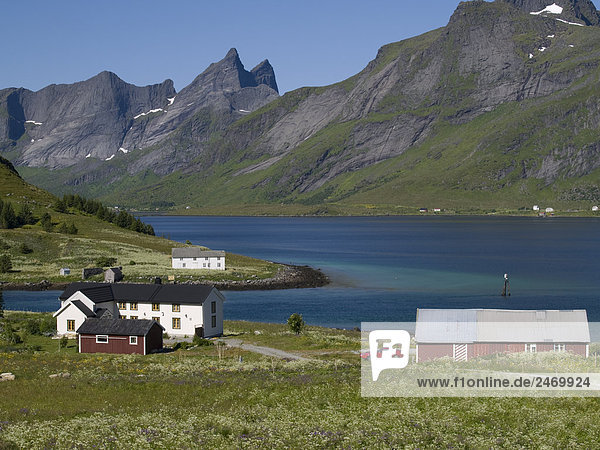 Gebäude am Meer  Leknes  Lofoten  Fylke Nordland  Norwegen