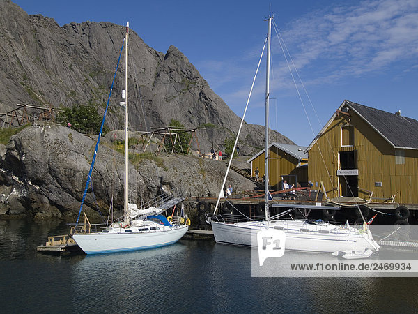 Segelboote moored at Port  Flakstad  Lofoten  Fylke Nordland  Norwegen