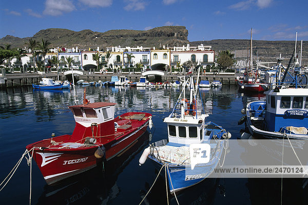 Fischerboote in Harbor  Puerto de Mogan  Gran Canaria  Kanarische Inseln  Spanien