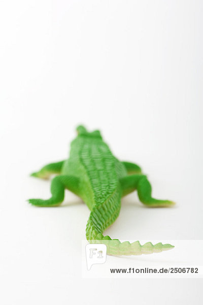 Spielzeug-Alligator  Rückansicht