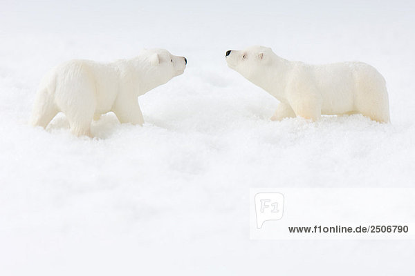 Spielzeug Eisbären im Schnee  von Angesicht zu Angesicht  Seitenansicht
