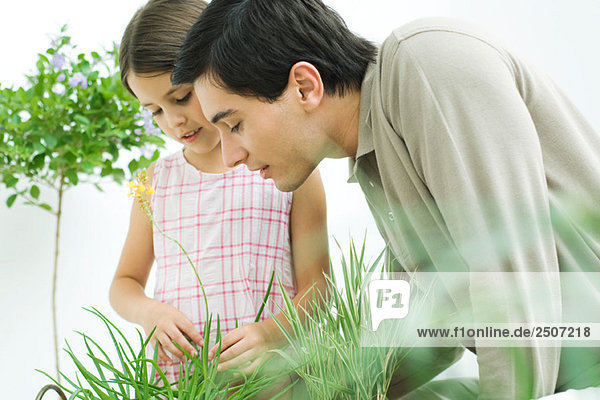 Vater und kleines Mädchen berühren gemeinsam Pflanzen