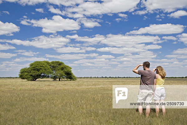 Africa  Botswana  Tourists looking at the landscape