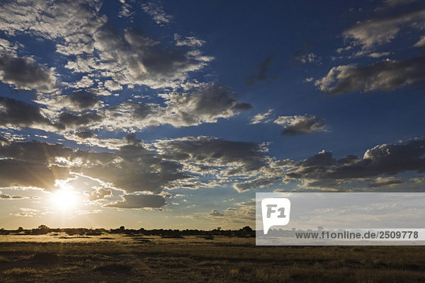 Africa  Botswana  Sunset over Savanna