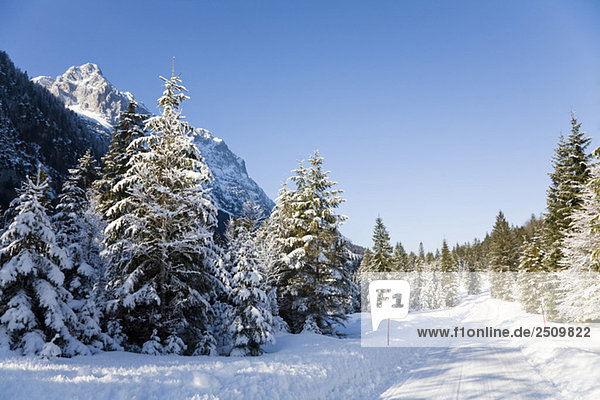 Deutschland,  Bayern,  Winterlandschaft im Hintergrund Wettersteingebirge