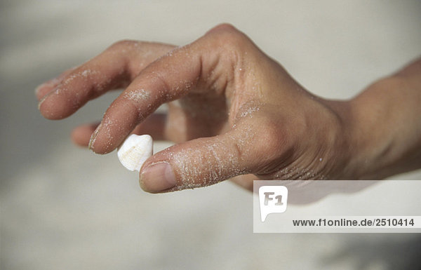 Italy  Sardinia  Man's Hand holding shell