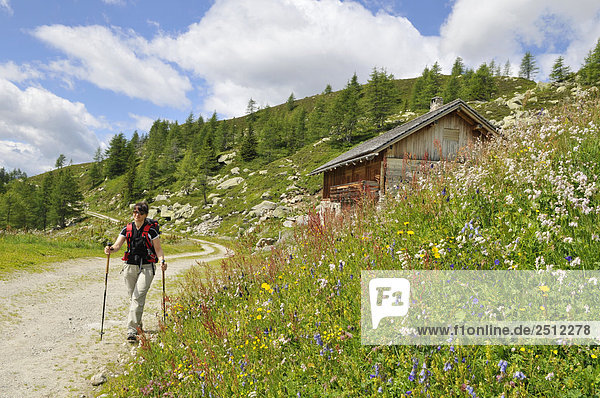 Frau Wandern auf ländlichen Pfad  Südtirol  Italien