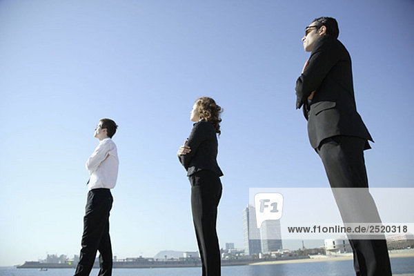 Business-Team mit Blick auf den Horizont