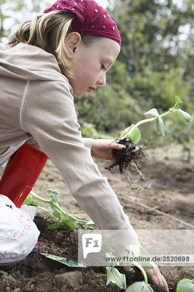 Junges Mädchen beim Gemüseanbau