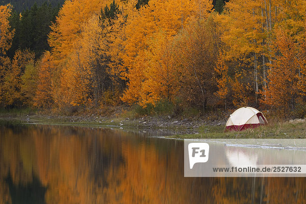 Zelt in der Nähe von Teich in den Bergen  Kananaskis Alberta.