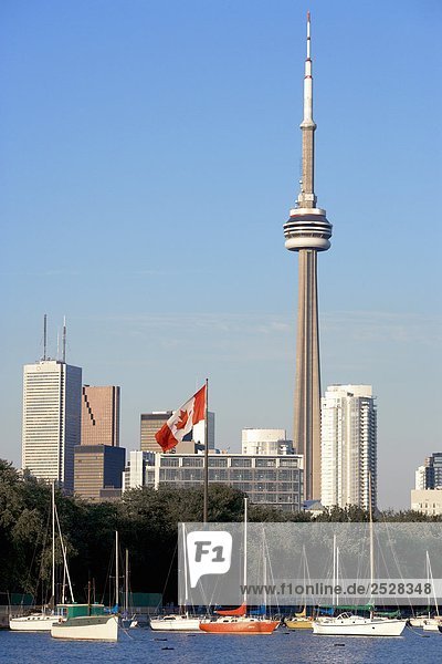 Skyline der Stadt  Toronto (Ontario)