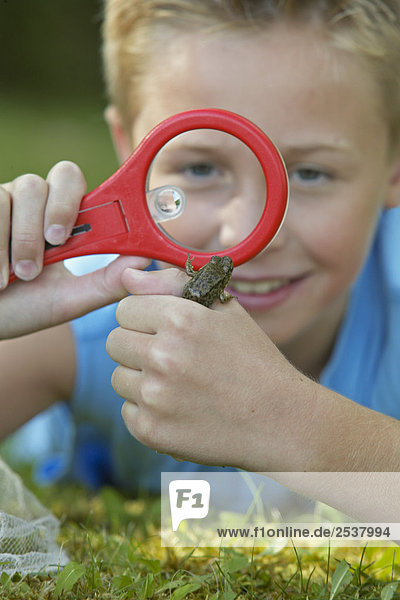 Boy Looking at Frog with Magnifying Glass