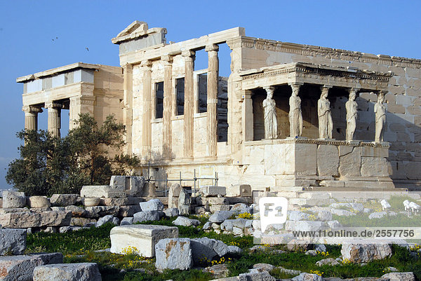 Ruins of temple  The Erechtheum  Athens  Greece