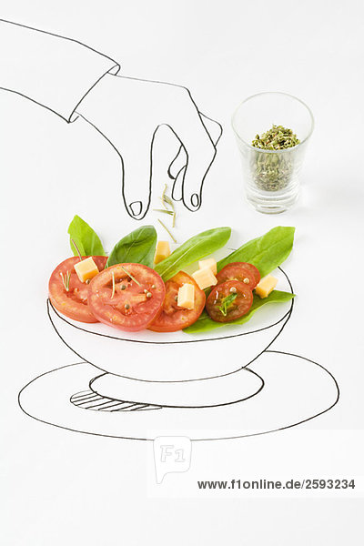 Zeichnen von Handstreuselgewürzen auf Salat