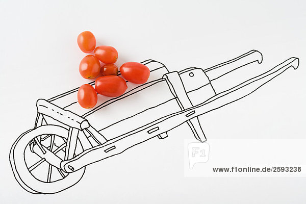 Tomaten auf Wagenzeichnung